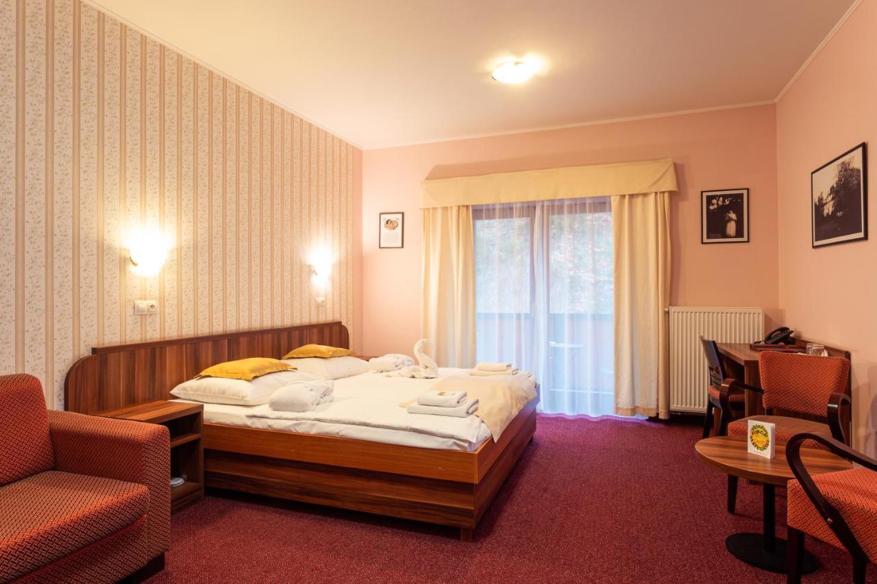 Hotel Studanka Rychnov nad Kneznou Extérieur photo